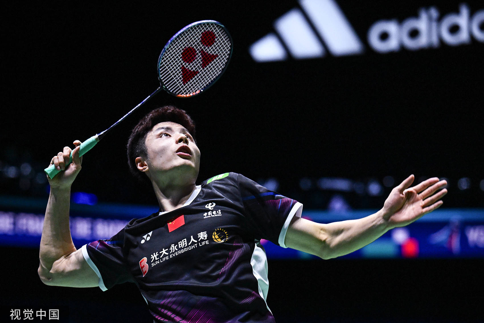 也证明他们 也证明他们